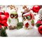 kevinsgiftshoppe Ceramic Christmas Owl Salt and Pepper Shakers Home Decor   Kitchen Decor